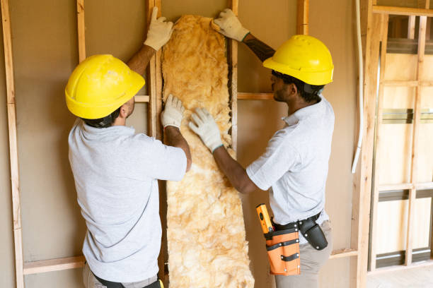 Insulation Replacement Services in Lone Pine, CA